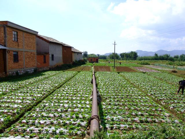 亮溝村田園景觀圖片