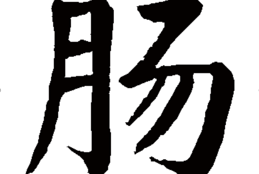 腸(漢語漢字)