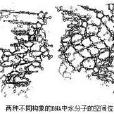 生物水原理