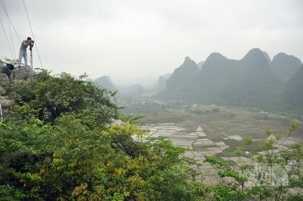 雁山區