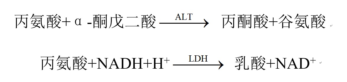 丙氨酸氨基轉移酶試劑盒