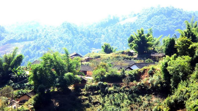 尖石頭村(雲南省會澤縣金鐘鎮普珠村委會尖石頭村)