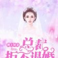 賴上嬌妻，總裁拒不退婚