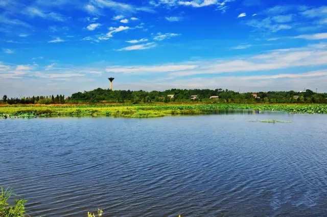 湖南黃家湖國家濕地公園