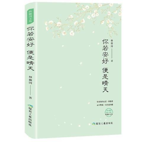 你若安好便是晴天(2018年煤炭工業出版社出版的圖書)