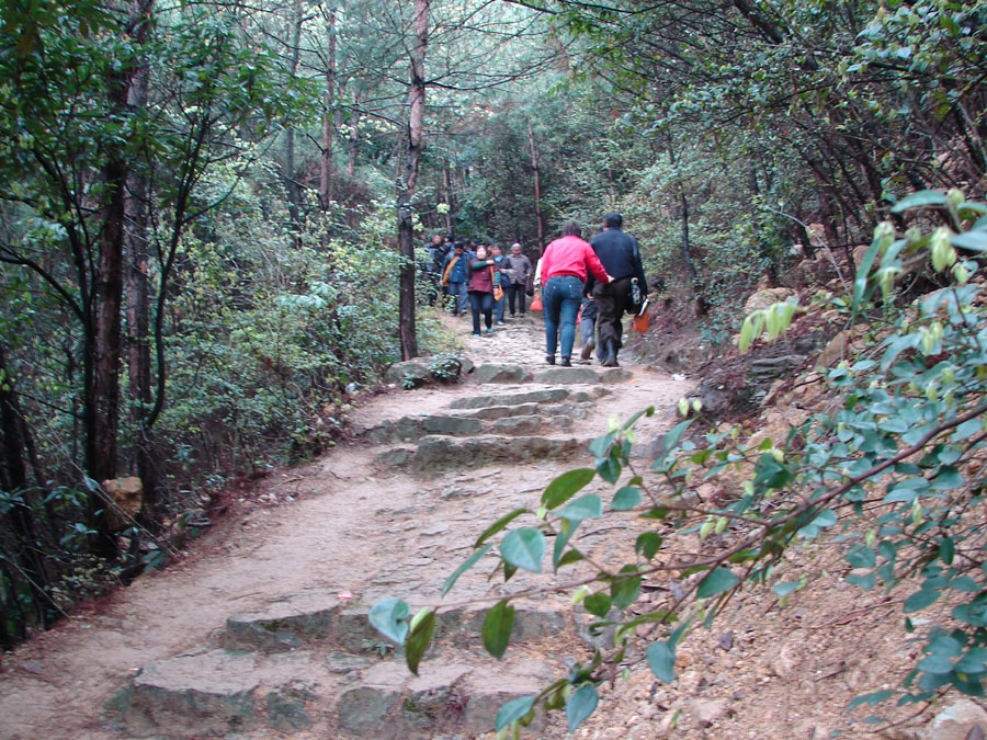 登真武山