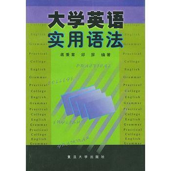 大學英語實用語法(大學英語系列教材：大學英語實用語法)