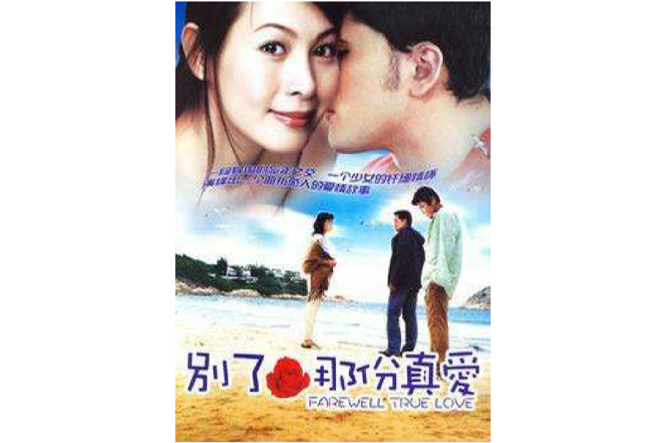 別了那份真愛(DVD)