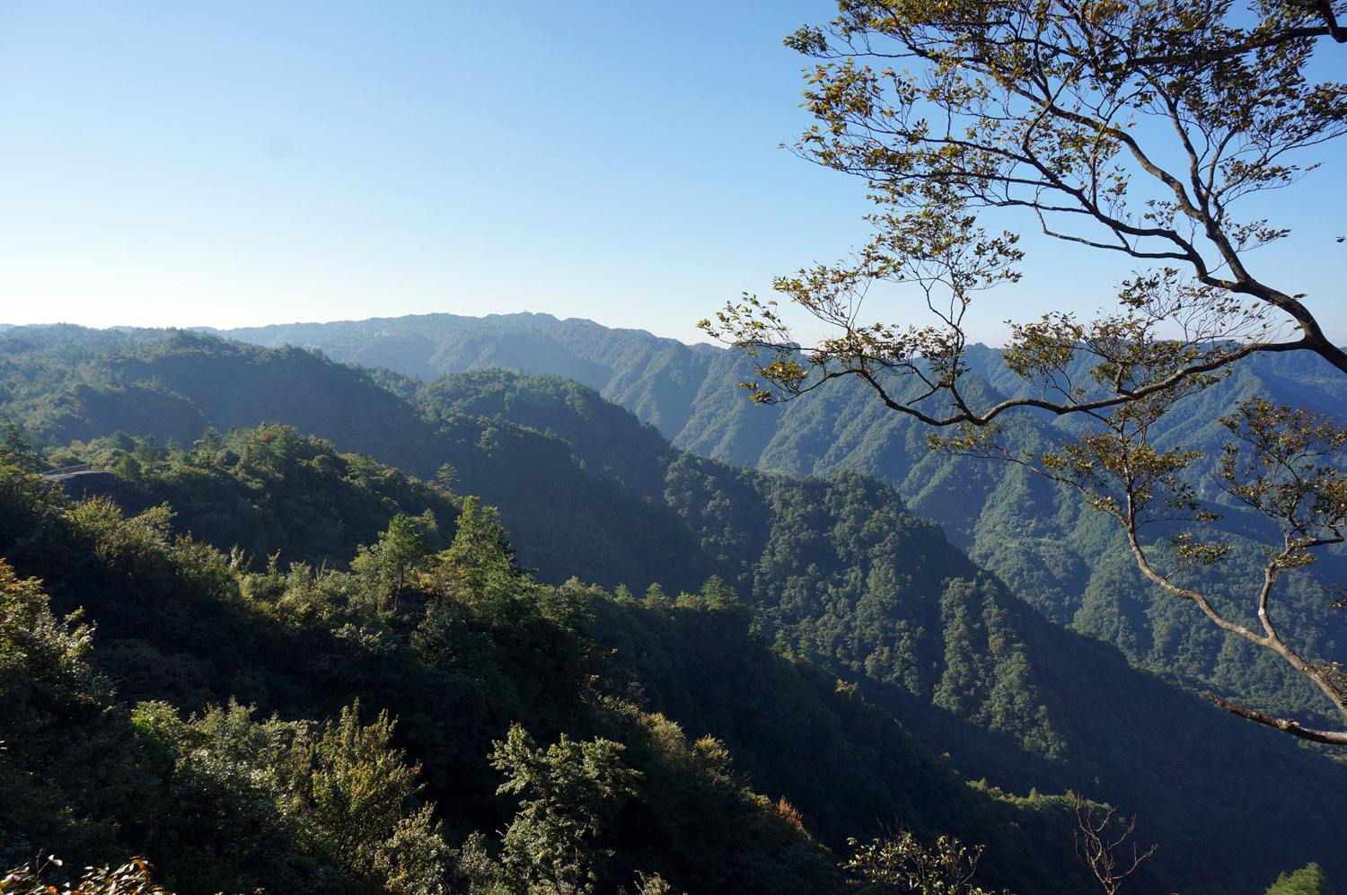 大風堡原始森林(原始森林)