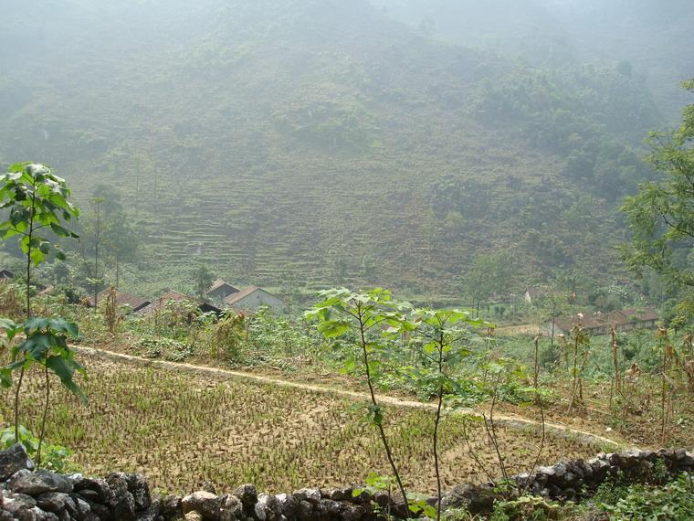 龍燈村(雲南省文山富寧縣谷拉鄉龍燈村)