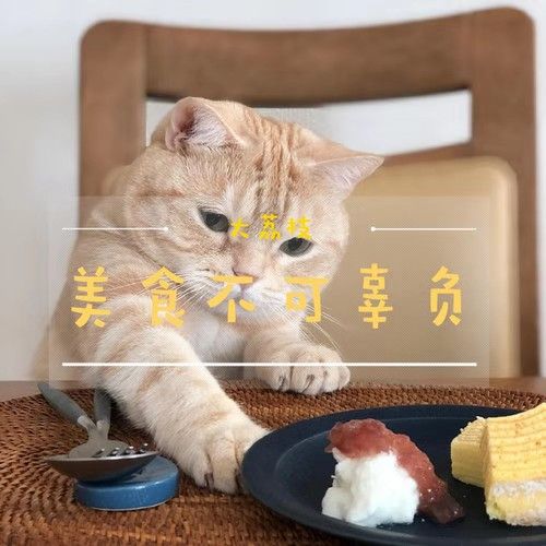 美食不可辜負