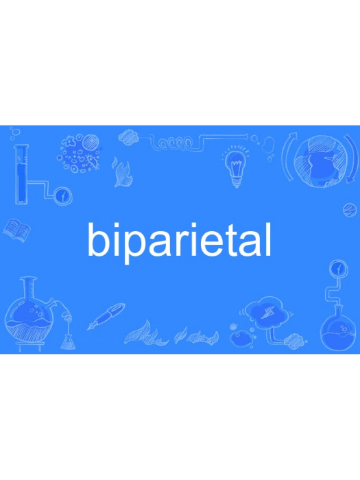 biparietal