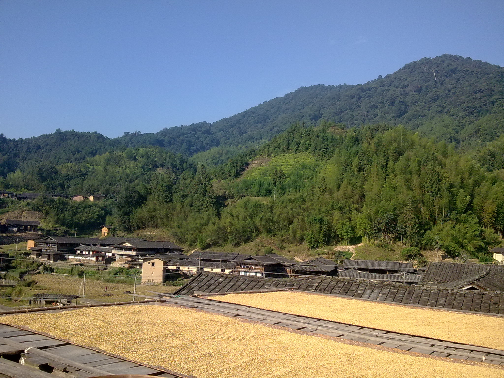 新坑村(福建省三明市尤溪縣新坑村)