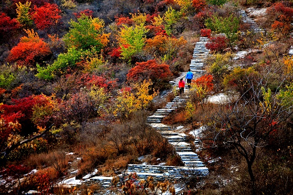 房山區坡峰嶺風景區