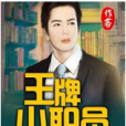 王牌小職員(作客文學網小說)