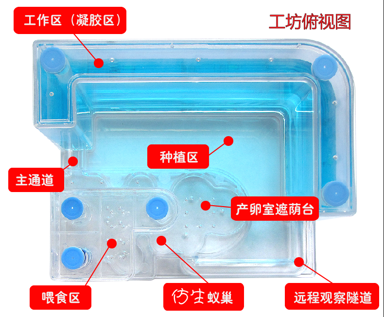 螞蟻工坊