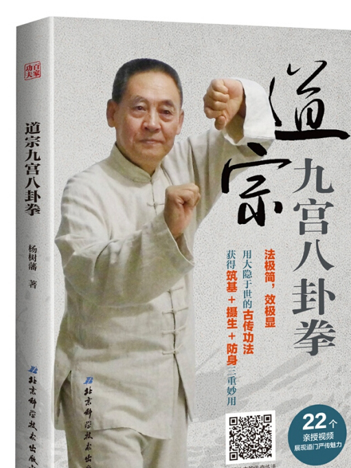 道宗九宮八卦拳