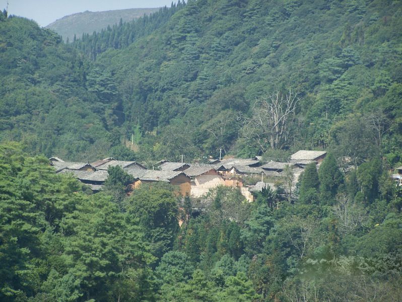 芹菜塘村(雲南省保山龍陵縣象達鄉芹菜塘村)