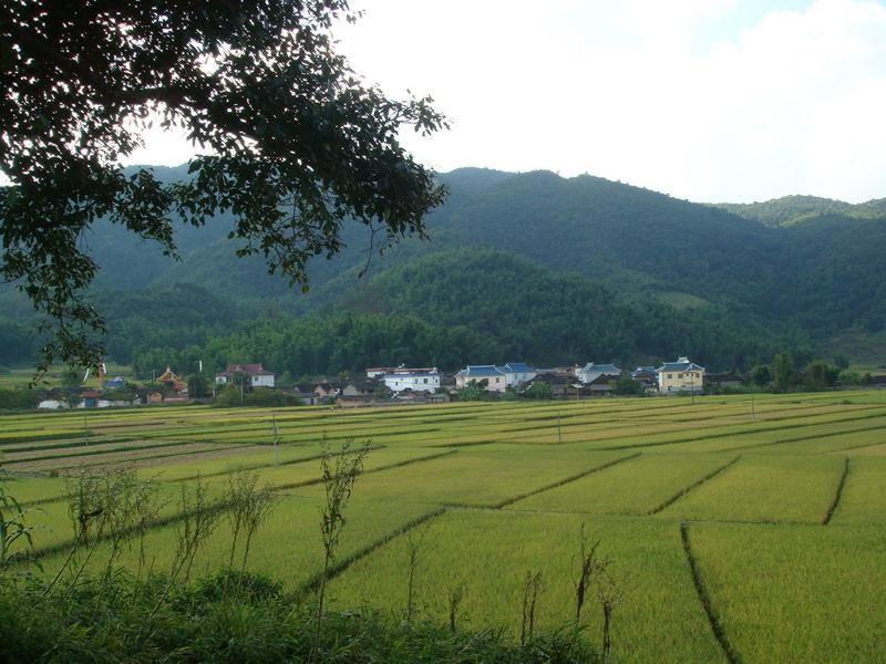 芒養自然村