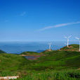 東白山高山省級濕地公園