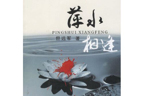 萍水相逢(2005年重慶出版社出版的圖書)