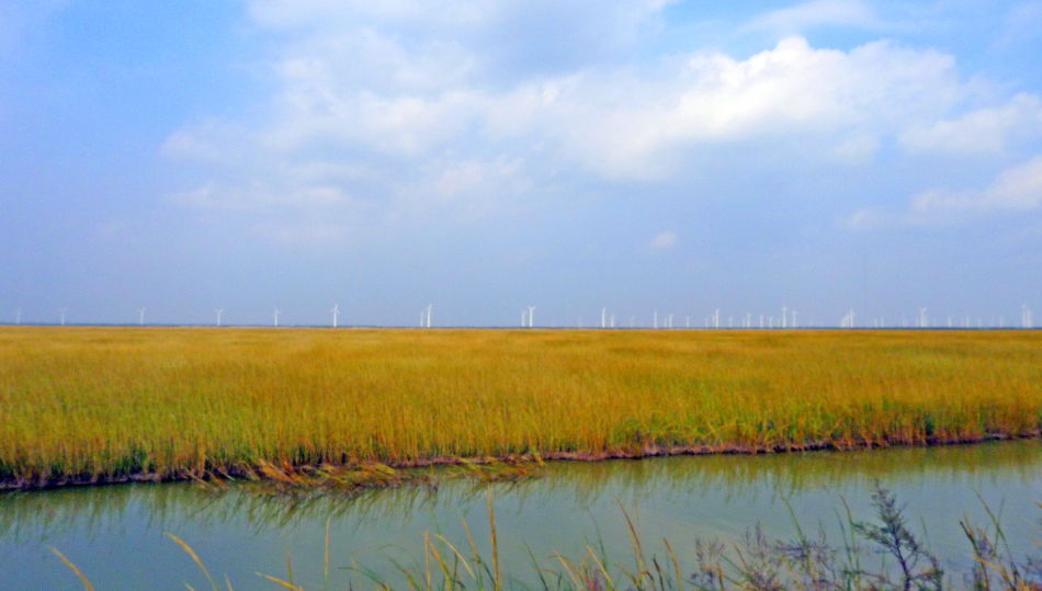 大豐國家海塗濕地公園