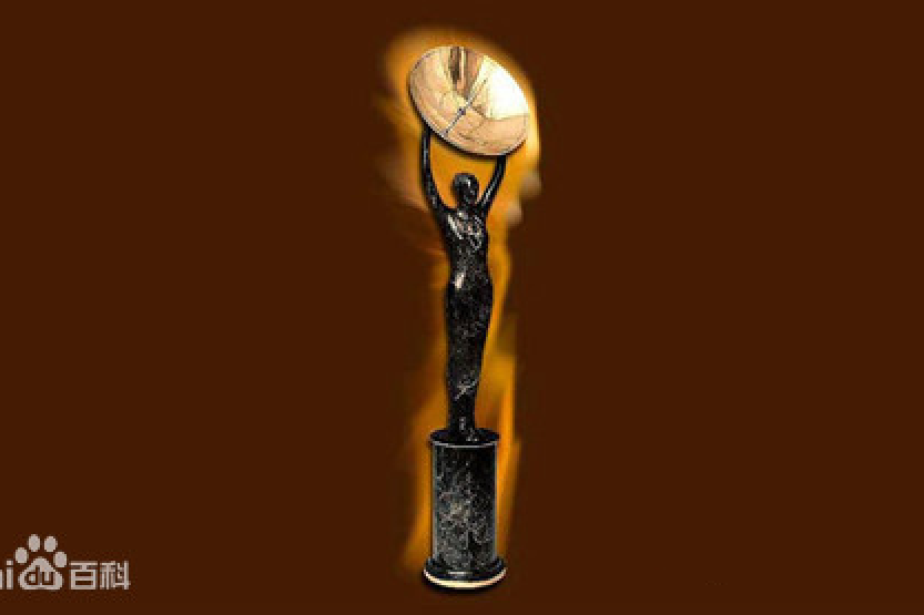 第12屆美國電影電視金衛星獎