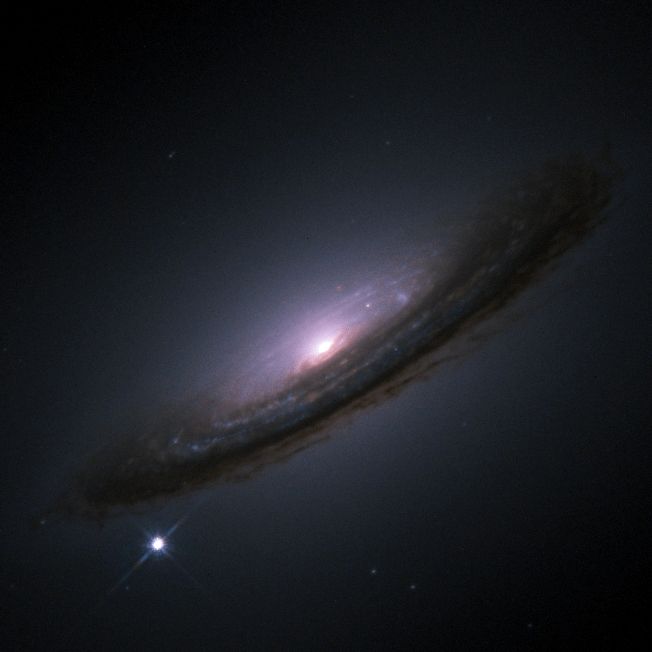 SN 1994D