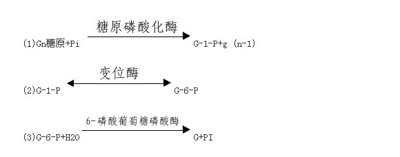 糖原(糖元)