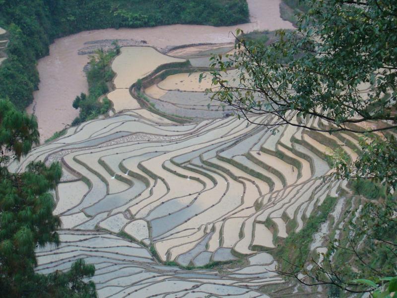 村中田園