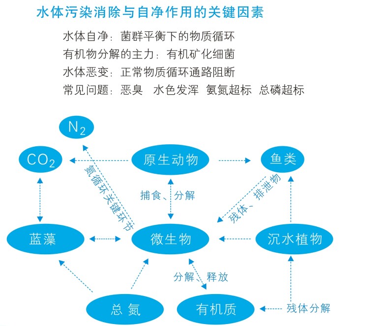 水體治理七字六步法