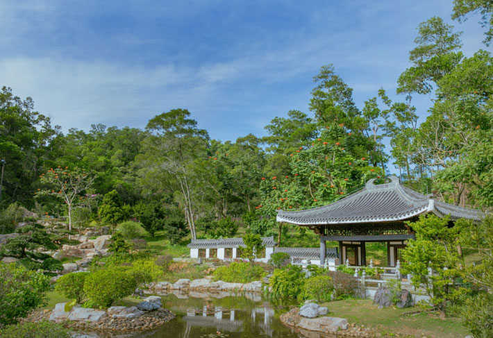 深圳市中國科學院仙湖植物園