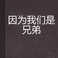 因為我們是兄弟(網路小說)