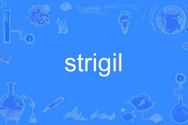 strigil