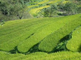 阿伍山自然村