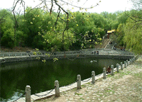 龍潭山公園