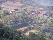 芹菜塘村(雲南省祿豐縣妥安鄉嶺崗村委會芹菜塘村)