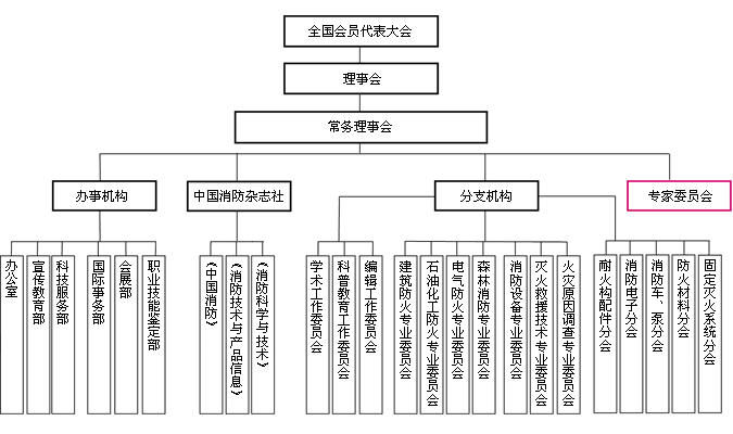 組織結構圖