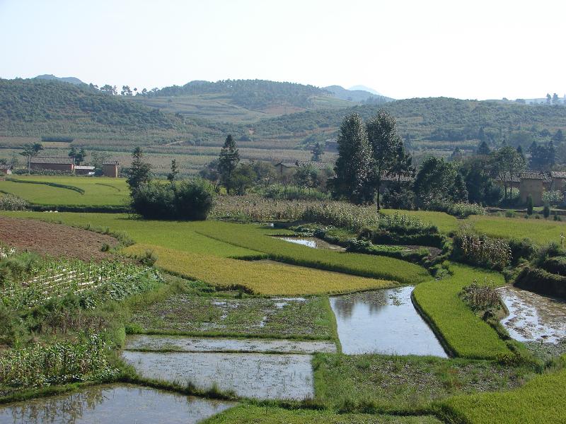 石口子村(雲南曲靖市師宗縣竹基鄉)