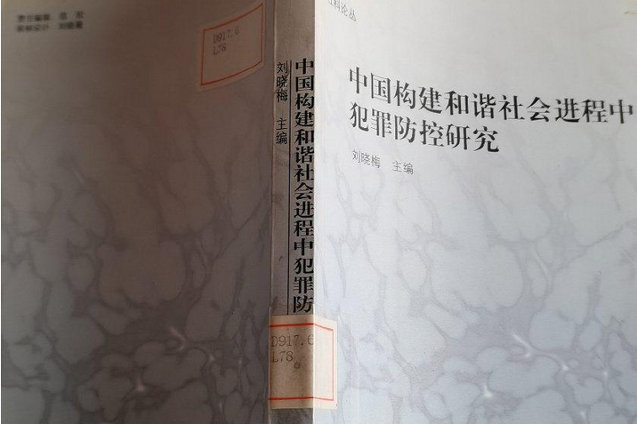 中國構建和諧社會進程中犯罪防控研究