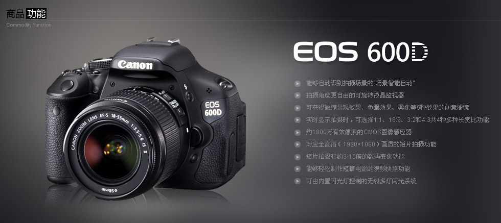 Canon EOS 600D完全指南