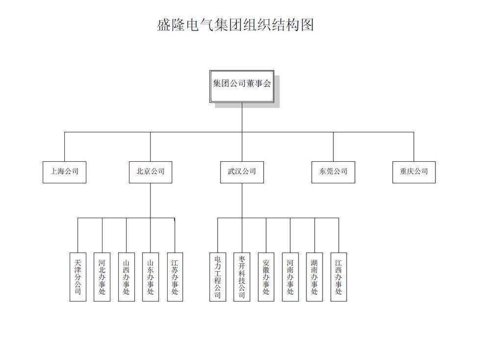 盛隆電氣集團組織結構圖