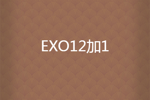 EXO12加1