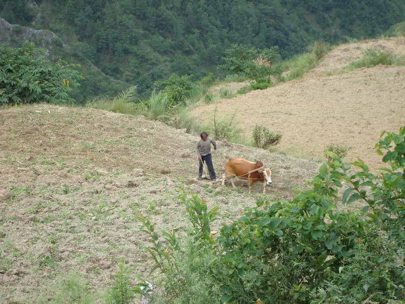 龍門下村