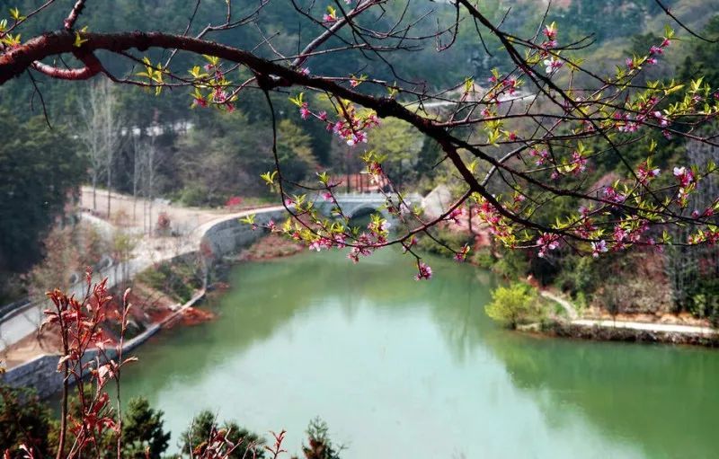 桃花寨(浙江舟山桃花寨)