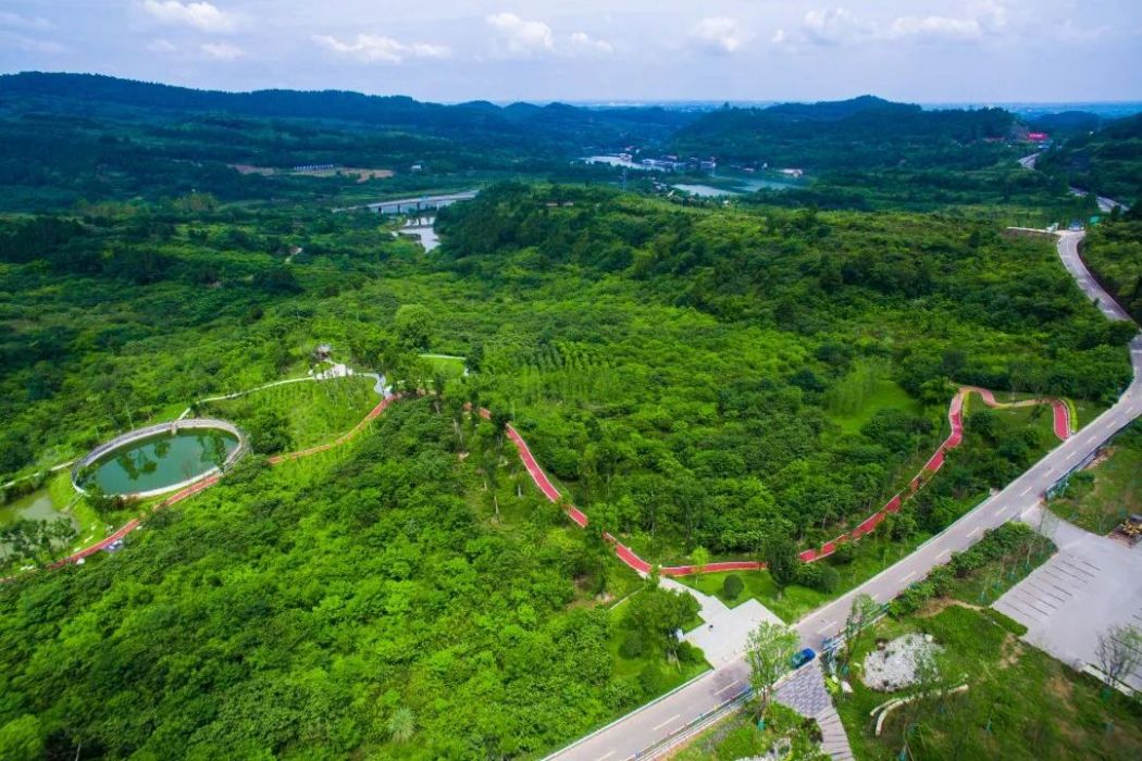 龍鳳山城市森林公園