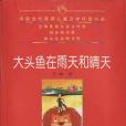 大頭魚在雨天和晴天(2007年人民文學出版的圖書)