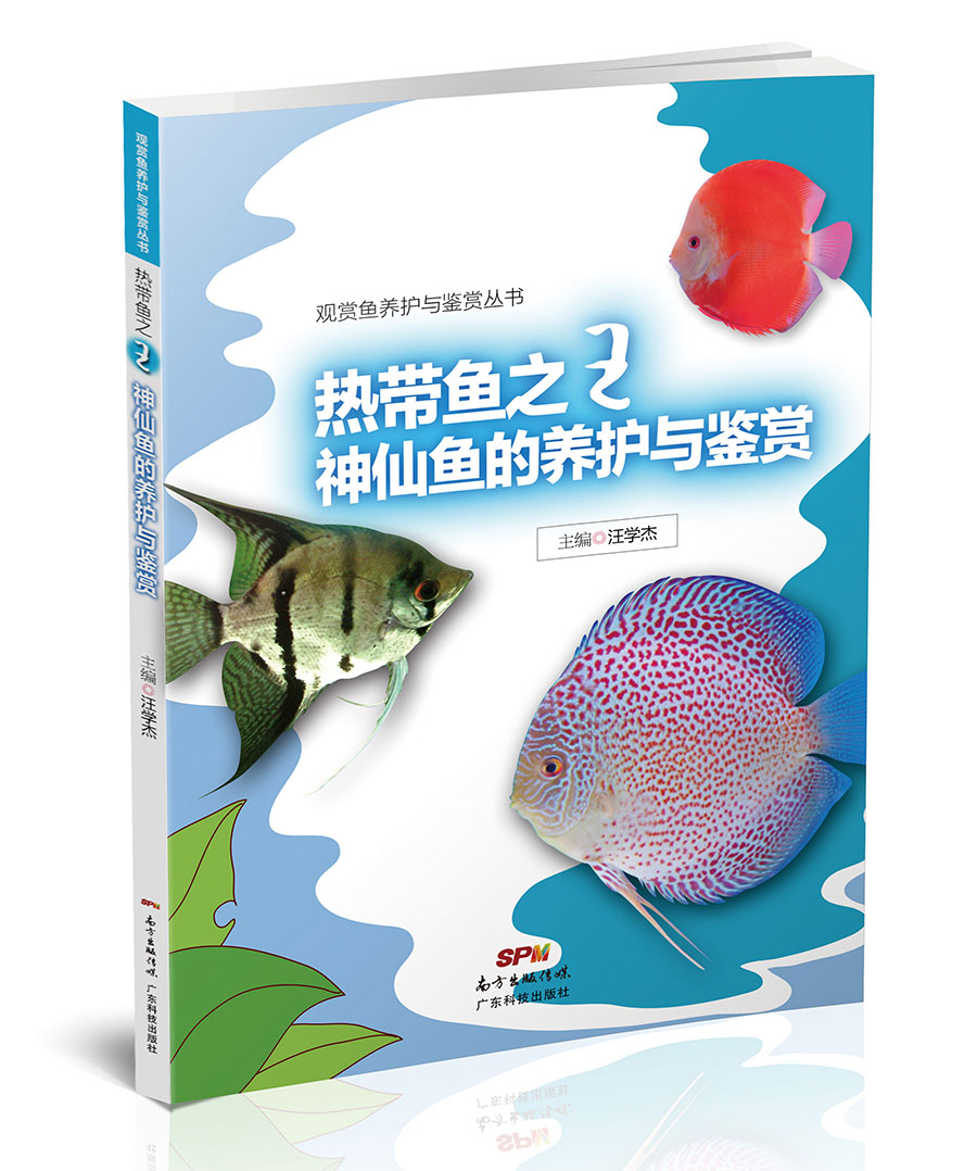 熱帶魚之王神仙魚的養護與鑑賞