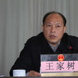 王家樹(岳陽市委副秘書長)