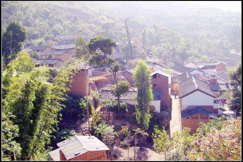 哨上村(雲南玉溪市紅塔區大營街鎮下轄村)